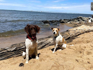 Meet your Posher, Skylar